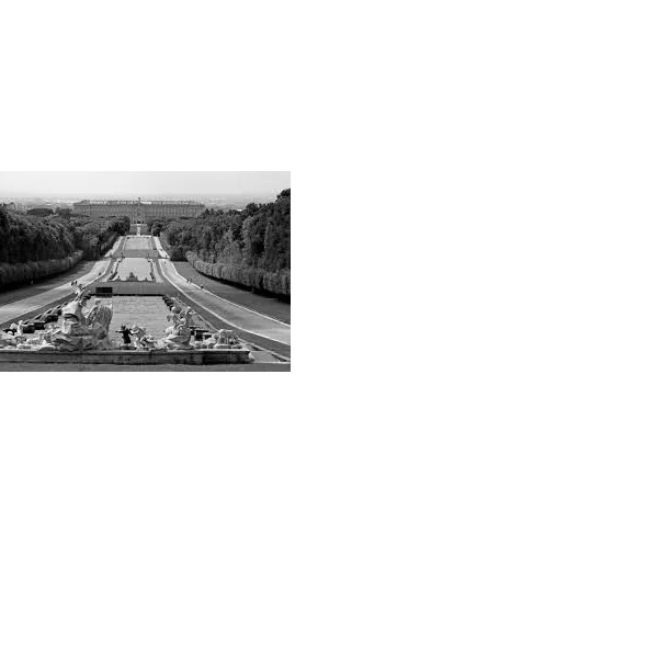 Ordine Medici Veterinari Provincia Caserta